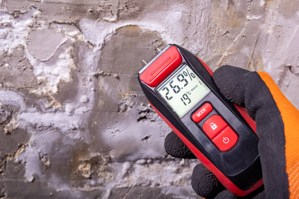 Best Emergency Mold Removal  in Sanford, FL